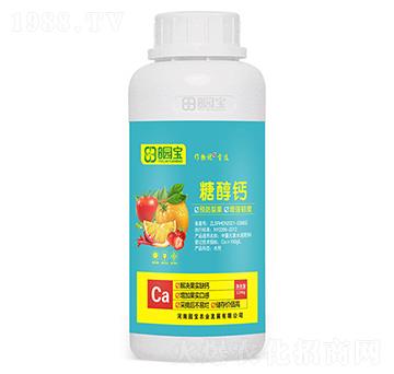 �Ǵ��}-�@���r�I(y��)