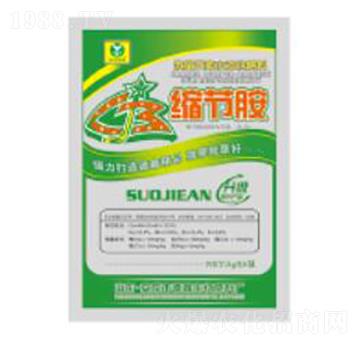 5g�s��(ji��)��-��������