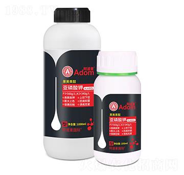 �������-�������n-������