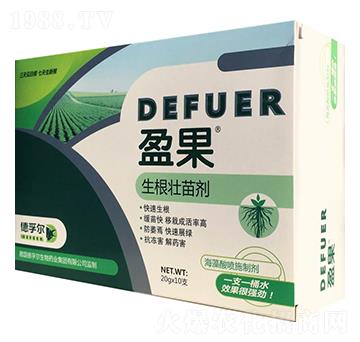 �������焩-ӯ��-���ڠ�