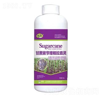 1000g����ι�(ji��)������ֱ�`-�sҫ�r(n��ng)�I(y��)