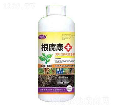 1000g�S�~�������缱��-������-�sҫ�r�I(y��)