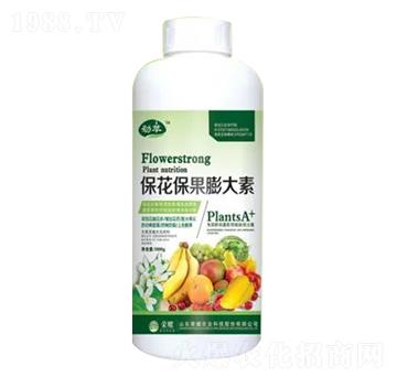 1000gƿ�b�������������-�sҫ�r(n��ng)�I(y��)