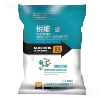 ����-��-�sҫ�r�I(y��)