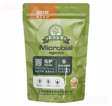 ���o������ľù-�ؿ�����