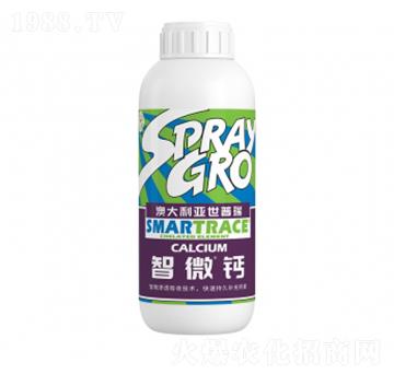 ��΢�}-��ţ�r�I(y��)