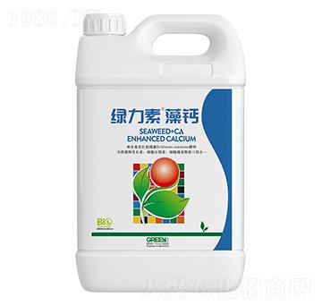 �G�������}-��ţ�r�I(y��)