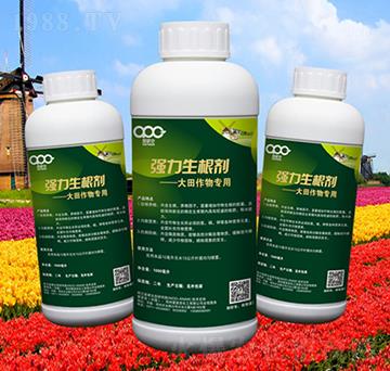 ��������������������ã�-���ɿ�