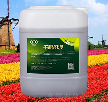 ����ĸҺ-���ɿ�