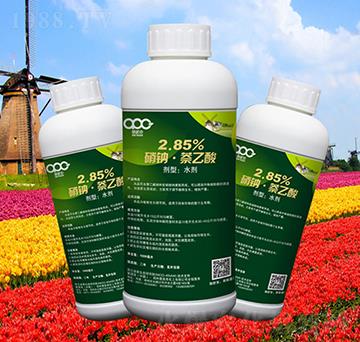 2.85%���c��������ˮ��-���ɿ�
