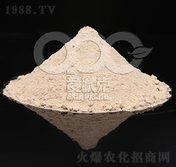 0.1%�|̦�؃�(n��i)��-���ɿ�