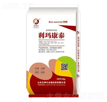 �S����⛻���ø-������̩-����ţ