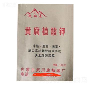 �S��ֲ���-������-���r(n��ng)�ʘI(y��)