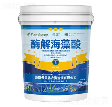 ΢¶-ø�⺣����-���컯�r(n��ng)�Y