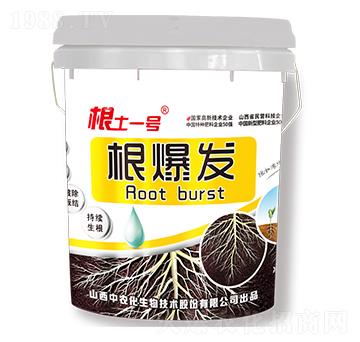 �����l(f��)-����һ̖(h��o)-���r(n��ng)��