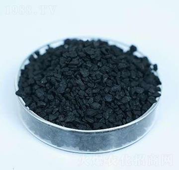 �ڽ���w��-�����r�I(y��)