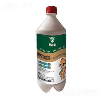 1L΢�������-���ϻ�-�|���r(n��ng)�ʘI(y��)