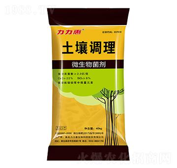 �����{��΢�������-����������