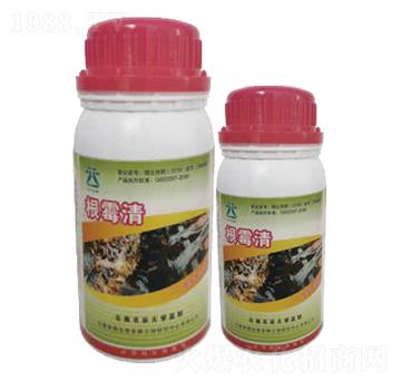 ��ù��-���~����