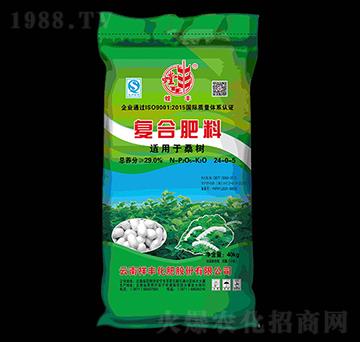 ɣ���m�ÏͺϷ���24-0-5-��S-���S���Q