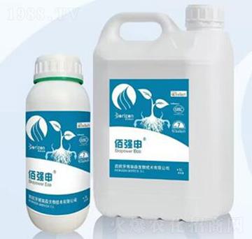 �ۏ���-�����m��