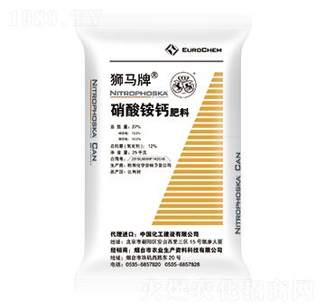 �����@�}-�{�R-�����r(n��ng)�I(y��)