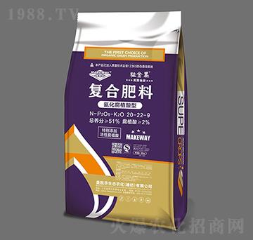 ������ֲ���͏ͺϷ���20-22-9-�����-���P�A