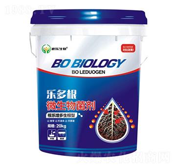 �����΢�������-��������