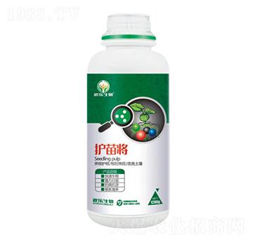 ΢�������-�o(h��)�猢-����(l��)����