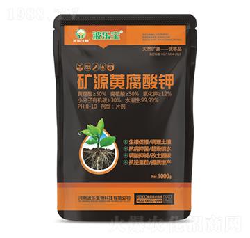 �VԴ�S�����-��������