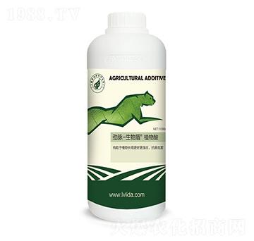 ֲ����-���}�����-�G���_