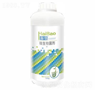 ����΢�������-������