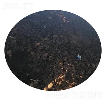 ţ�S�ЙC��-�r(n��ng)��ʘI(y��)