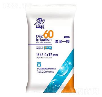 �ι�һ�@17-43-0+TE-�����-�r(n��ng)(li��n)�r(n��ng)�I(y��)