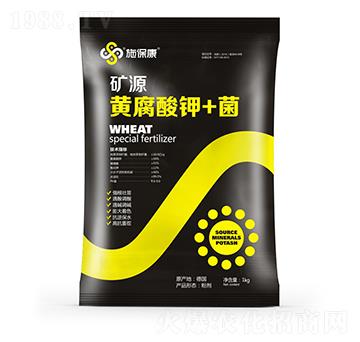 �VԴ�S�����+��-ʩ����