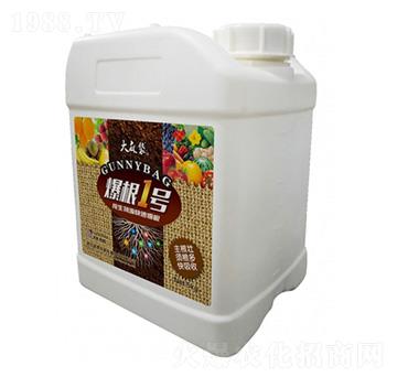 ����1̖-�����-���v����