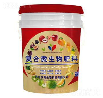 �ͺ�΢�������-����