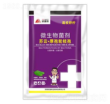 �K�ơ�����݆֦��-˪���晎-������