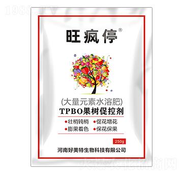 250gTPBO����ٿ؄�-����ͣ-������