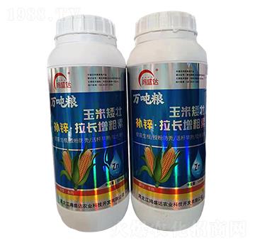 �a(b��)�\���L(zh��ng)���L(zh��ng)��-��ʢ�_(d��)