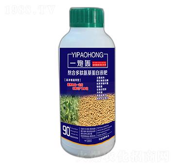 һ���Z-��ʢ�_(d��)