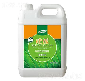 ����-�޺�����