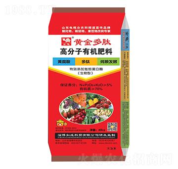 �S����ĸ߷����ЙC����-����-���{(l��n)����