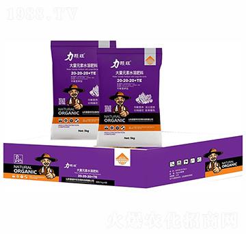 ƽ��I(y��ng)�B(y��ng)�ʹ���Ԫ��ˮ�ܷ���20-20-20+TE-���w��-��ʢ���r(n��ng)