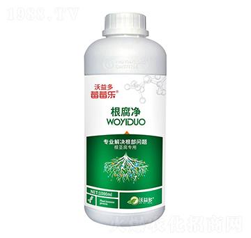 ������-ݮݮ��-�����