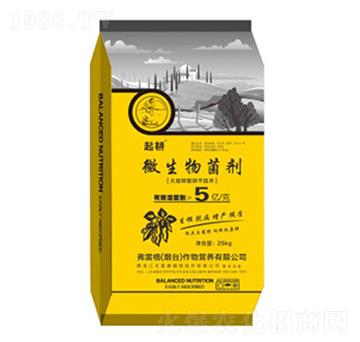 25kg΢�������-���-���׸�