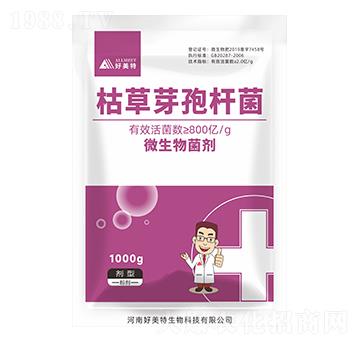 �ݲ�ѿ�ߗU��-������