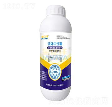 ���w������-���|��