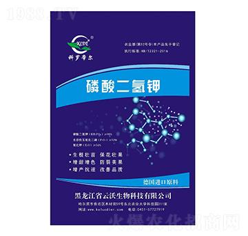 ��������-���_�۠�-��������