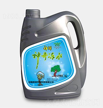 �����ˮ-������